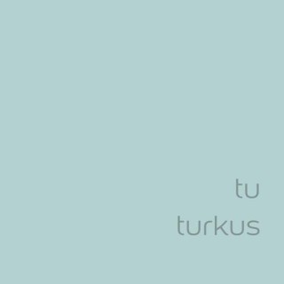 DULUX EASYCARE TU TURKUS 5L