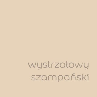 DULUX EASYCARE WYSTRZAŁOWY SZAMPAŃSKI 2,5L