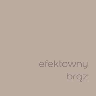 DULUX EASYCARE EFEKTOWNY BRĄZ 5L