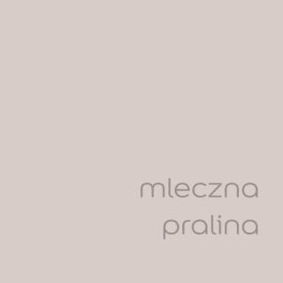 DULUX EASYCARE MLECZNA PRALINA 2,5L