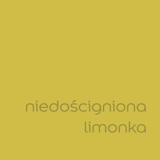 DULUX EASYCARE NIEDOŚCIGNIONA LIMONKA 5L