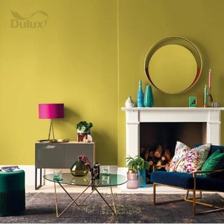 DULUX EASYCARE PLUS NOWY ŻÓŁTY 2,5L