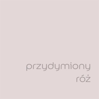 DULUX EASYCARE PLUS PRZYDYMIONY RÓŻ 2,5L