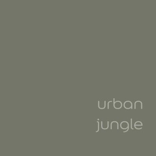 DULUX EASYCARE PLUS URBAN JUNGLE 2,5L