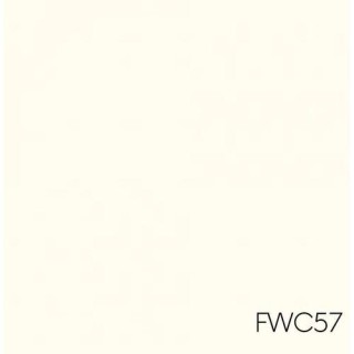 FARBA WEW.CERAMICZNA FWC57 2,5l GREINPLAST