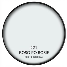 SMART HOME BOSO PO ROSIE   2,5L BONDEX