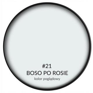 SMART HOME BOSO PO ROSIE   2,5L BONDEX