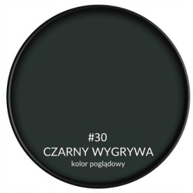 SMART HOME CZARNY WYGRYWA 2,5L BONDEX