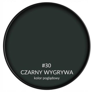 SMART HOME CZARNY WYGRYWA 2,5L BONDEX