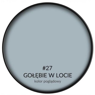 SMART HOME GOŁĘBIE W LOCIE 2,5L BONDEX