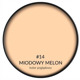 SMART HOME MAGIA MIODOWY MELON 2,5L BONDEX