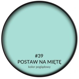 SMART HOME POSTAW NA MIĘTĘ 2,5L BONDEX