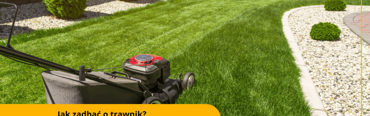 Jak dbać o trawnik